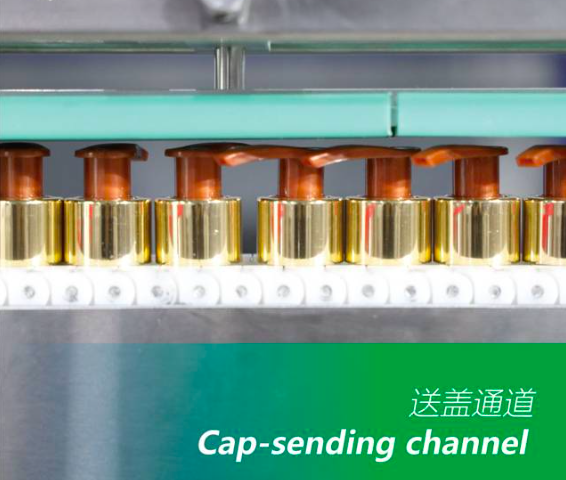 Servo Type Capping Machine