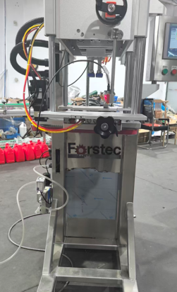 Servo Type Capping Machine